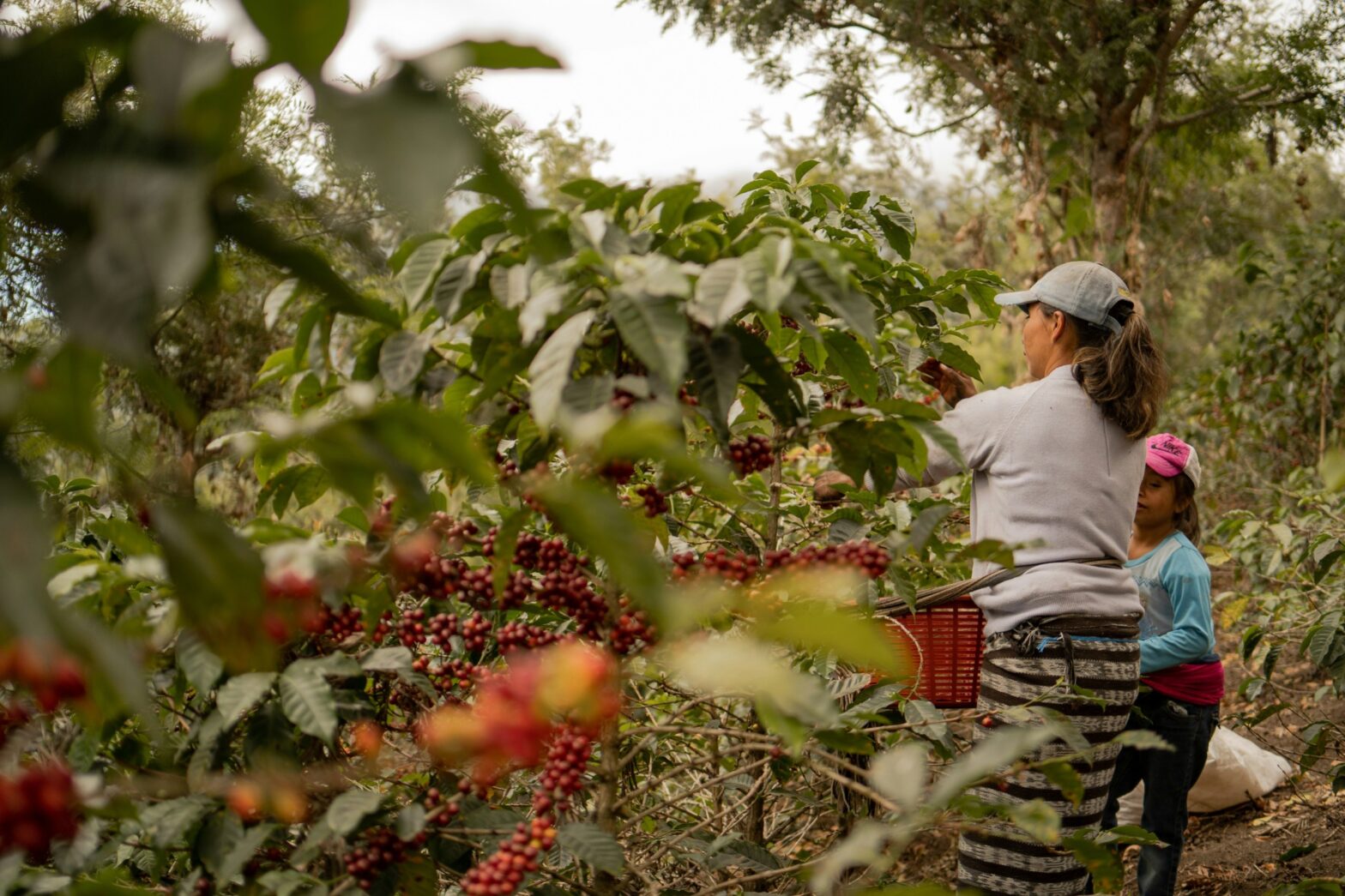 Celebrating 20 Years of Coffee, Community & Conscious Impact