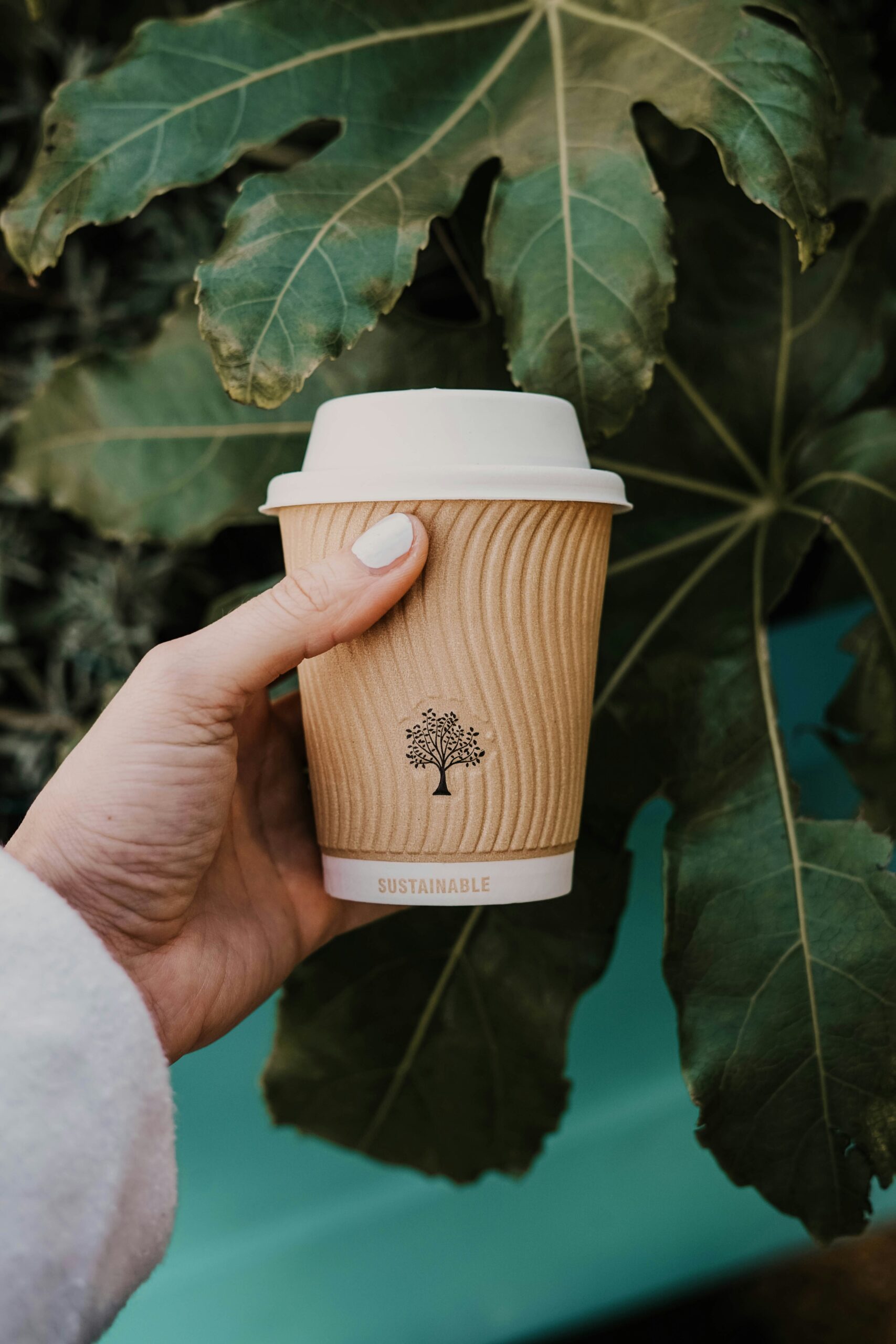 Hand holding a eco-friendly takeaway coffee cup with a “sustainable” label in front of green leaves