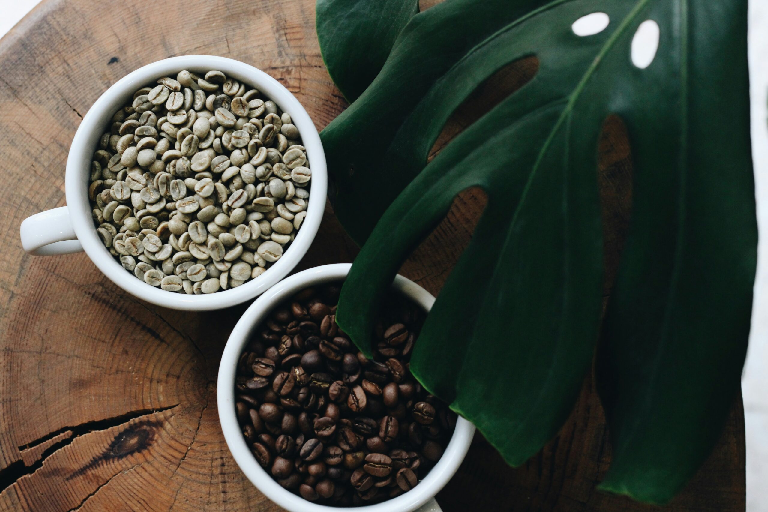 Green unroasted coffee beans in a white cup at top and dark roasted beans in a white cup below, displayed on a weathered wooden surface with fresh green coffee plant leaves to the right, showing the transformation from raw to roasted