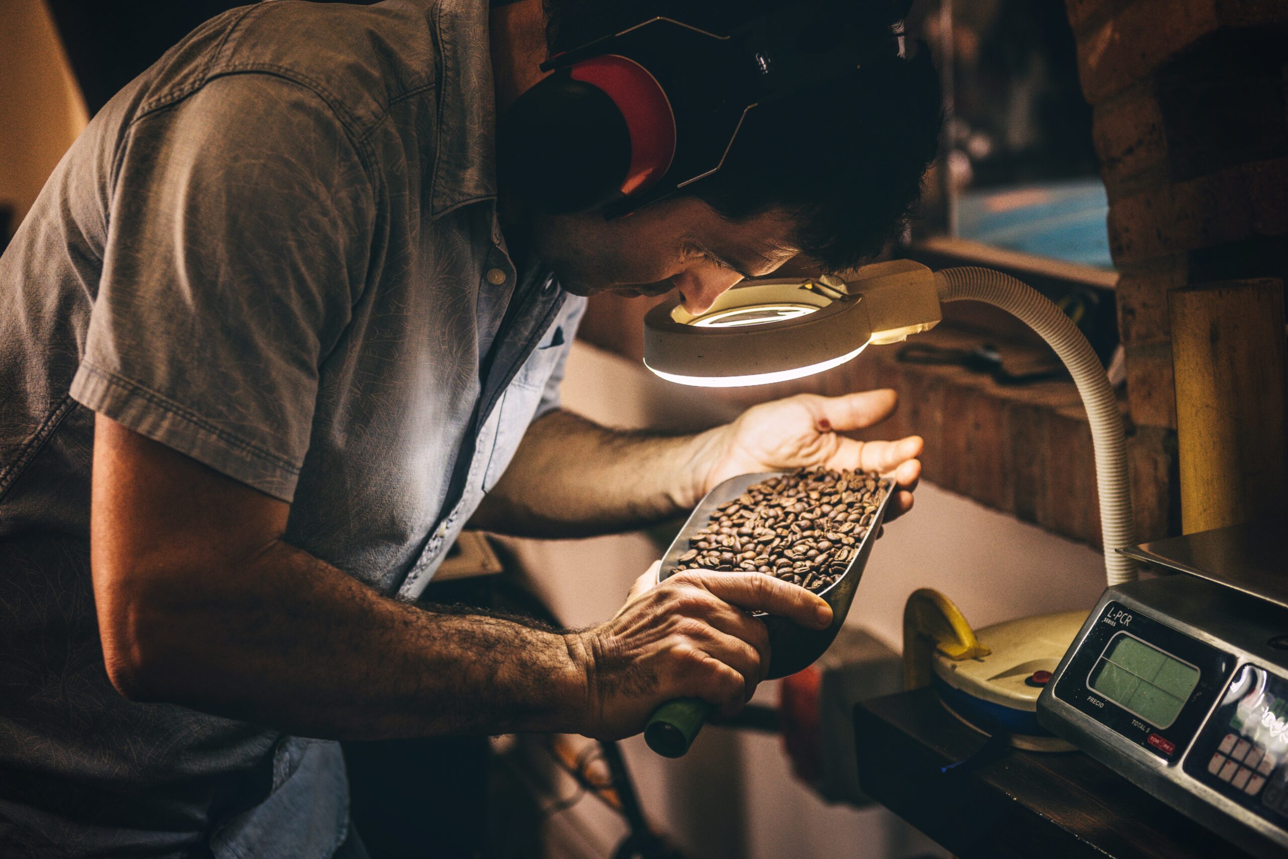 Coffee roaster wearing headlamp and protective eyewear inspects roasted coffee beans in a tray under bright task lighting, with quality control equipment visible on the workbench