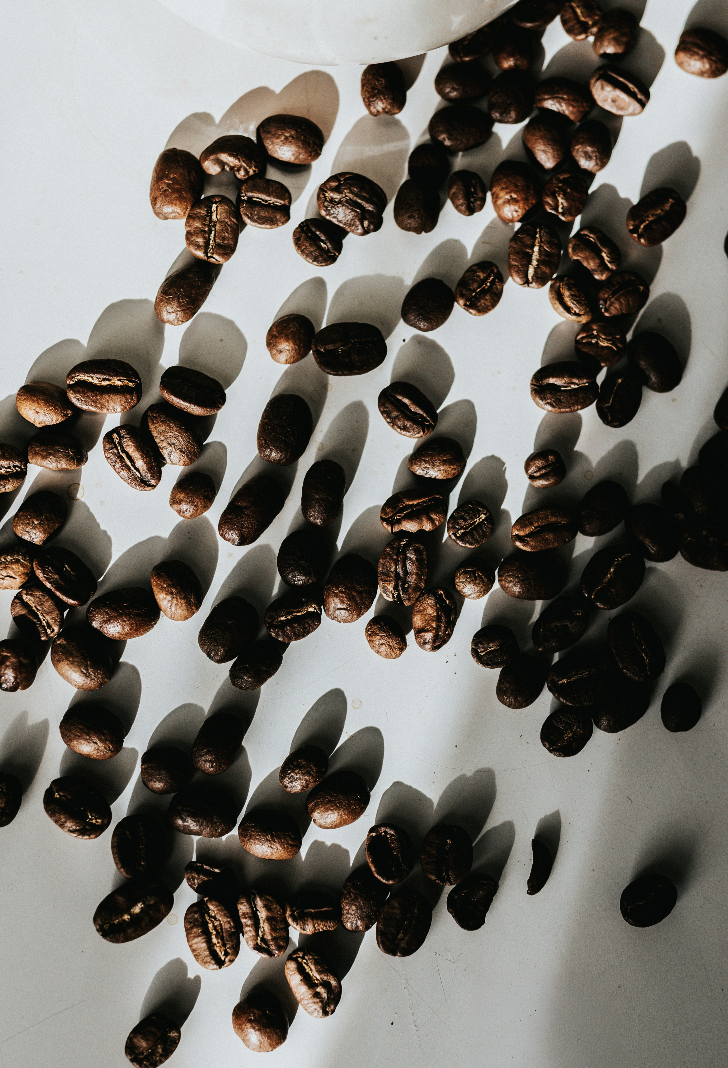 Screenshot 2026-08-11 at 153120 - Indigo Valley Roasted whole coffee beans scattered across a white surface, spilling from a white cup, shot from above.